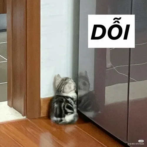 Ảnh chế biểu cảm giận vu vơ nhưng thương đầy lòng