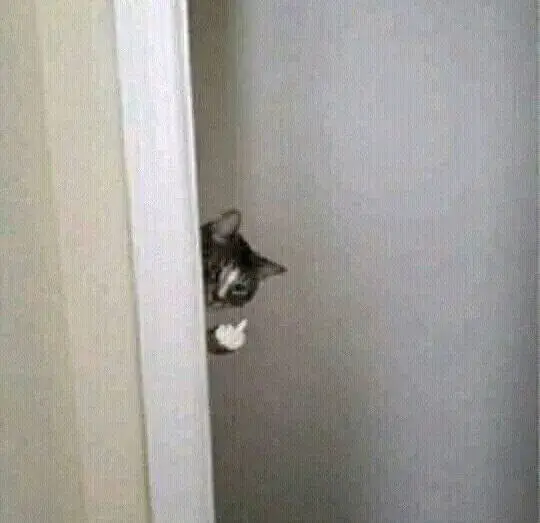 Khoảnh khắc meme mèo đưa ngón giữa bạn phải thử gửi bạn thân