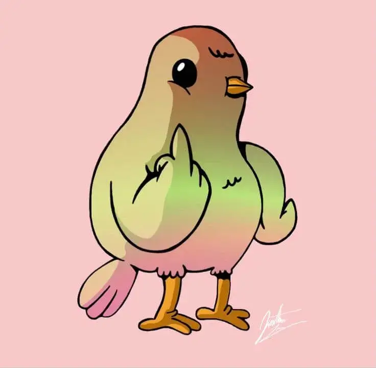 Hình chế chú chim giơ ngón giữa