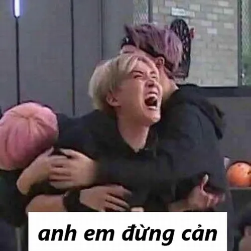 Ảnh troll đừng ngăn tôi nhé, để tôi giải quyết gọn