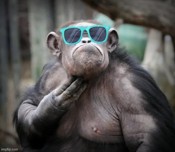 42 Hình chế biểu cảm ngượng cười và tay gãi gáy