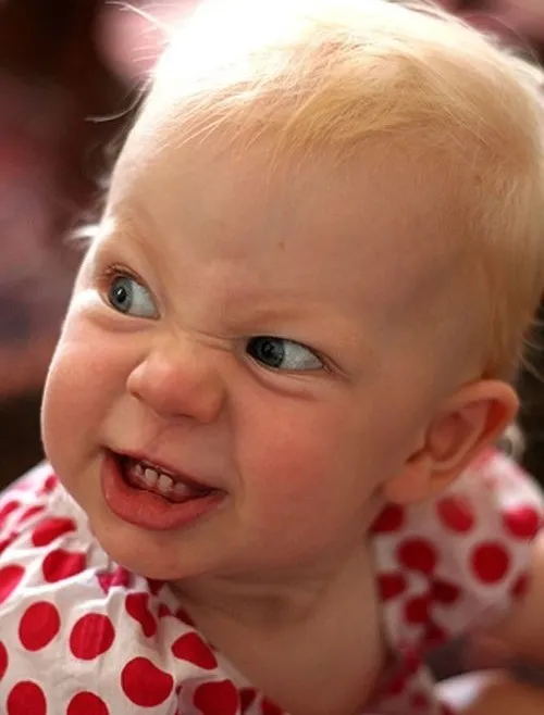 Ảnh chế người tức phát khóc nhìn vừa thương vừa vui