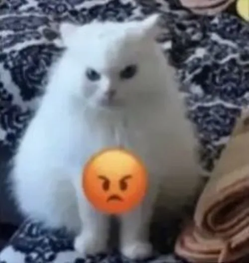 Meme troll người yêu giận lẫy cực đáng yêu trên Zalo