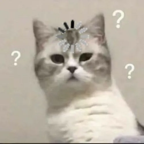 Khi biểu cảm bối rối thành meme hot nhất mạng xã hội Việt