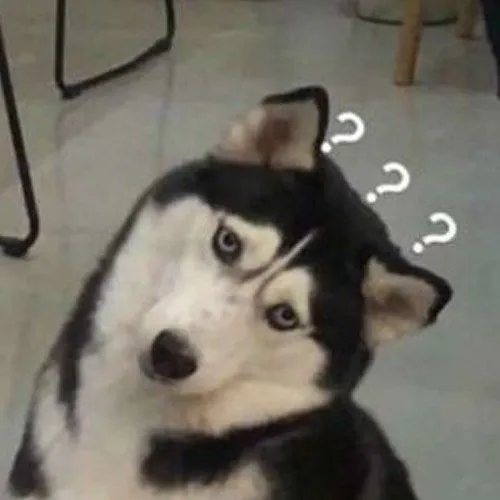 Ảnh vui khuôn mặt bị lag khi nghe chuyện vô nghĩa