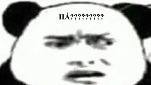 Ảnh vui ánh mắt vô hồn của chú chó trông vừa ngơ vừa đáng yêu