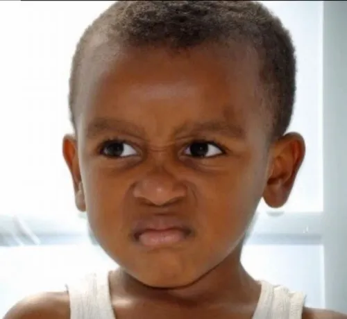 Ảnh troll cảnh chú mèo nhìn nhầm khiến dân mạng cười nghiêng ngả