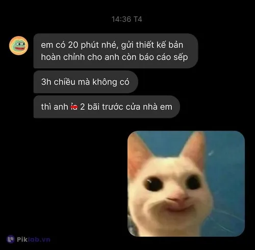 Meme hài dân agency bật khóc khi file gửi lỗi font.
