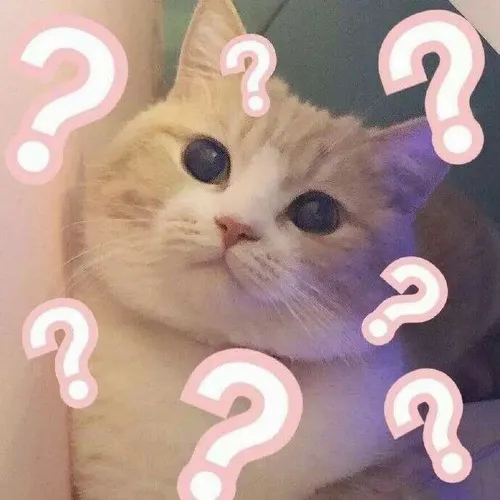 Meme mèo thắc mắc hỏi chấm là ngôn ngữ không lời của sự ngơ ngác