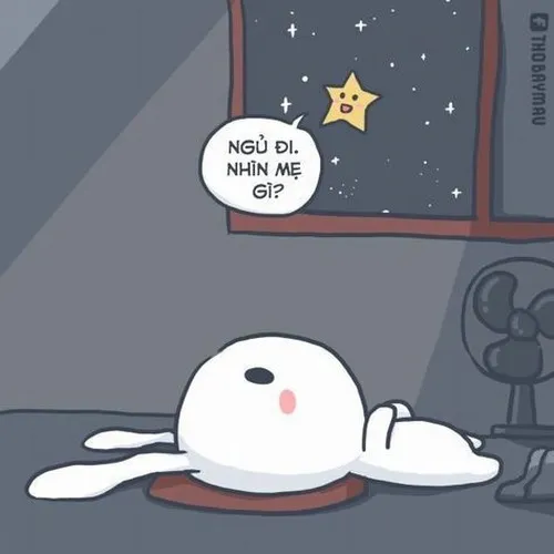 Thỏ bảy màu nằm dài nhìn sao