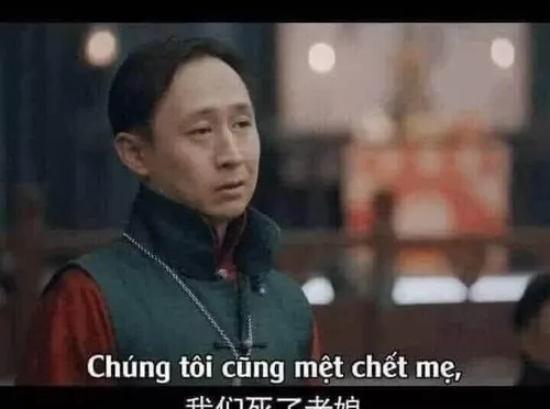Meme chế lừ đừ buồn ngủ mà cute quá