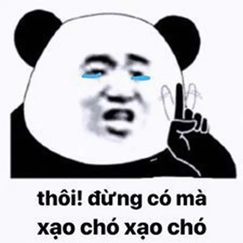 Thôi đừng có mà xạo chó xạo chó