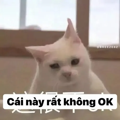 Hình troll chạm đáy cảm xúc khiến người xem nghẹn.