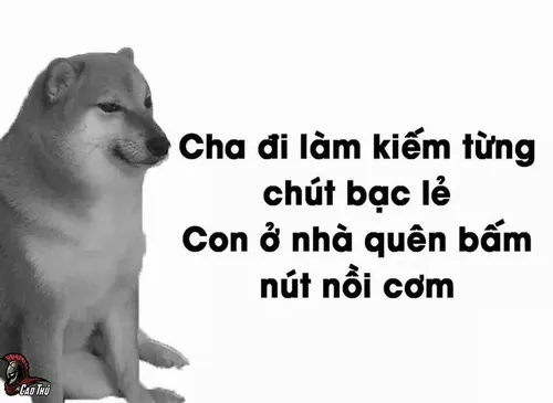 Meme dân văn phòng kể lại cú “báo cáo phút chót”