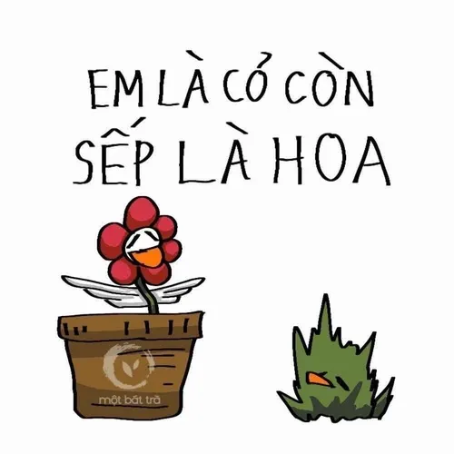 Meme dân bàn giấy kể cảnh bị tag tên giữa họp