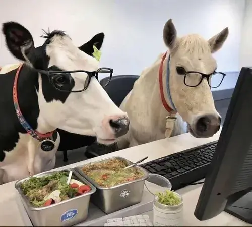 Meme dân văn phòng kể cảnh báo cáo chưa lưu file