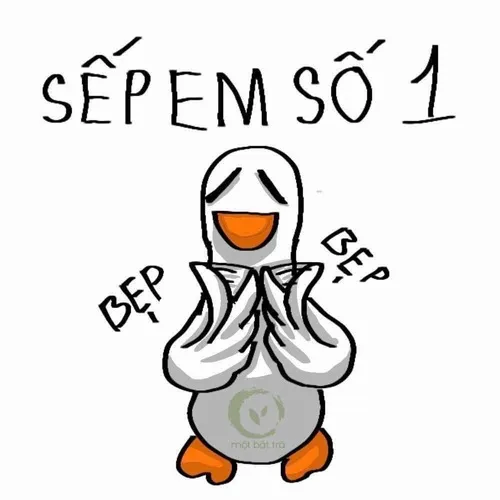 Ảnh vui công sở khi cà phê là nguồn sống duy nhất