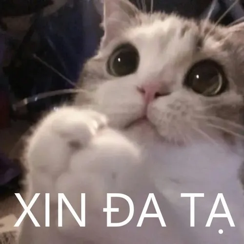 Ảnh vui cảm ơn với quạt giấy và áo gấm