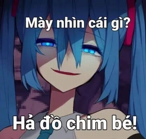 Meme chữ: mày nhìn cái gì hã đồ chim bé