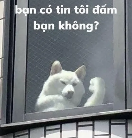 Meme chế hài hước gói trọn tiếng cười dân mạng