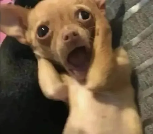 Khoảnh khắc kinh hãi trong meme đời thường