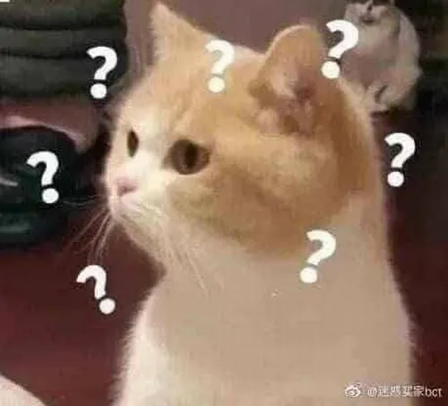 Meme mèo mông lung thể hiện nét mặt người đang cố hiểu vô vọng