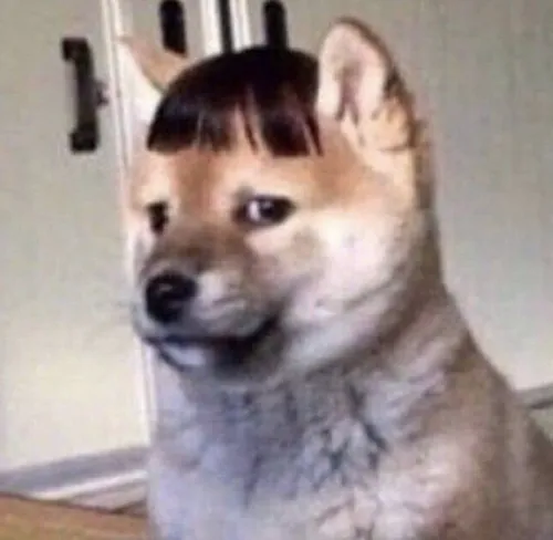 Hình troll miệng há hốc phản ứng dây chuyền cực hài