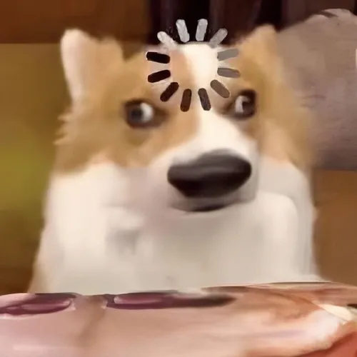 Ảnh meme vui ánh mắt lạc hướng đầy mông lung