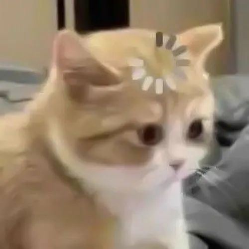 Meme troll biểu cảm hoang mang gây bão dân mạng