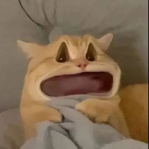 70 ảnh Meme Hoang Mang tái hiện hoàn hảo cảm giác lú lẫn pha chút hoảng sợ