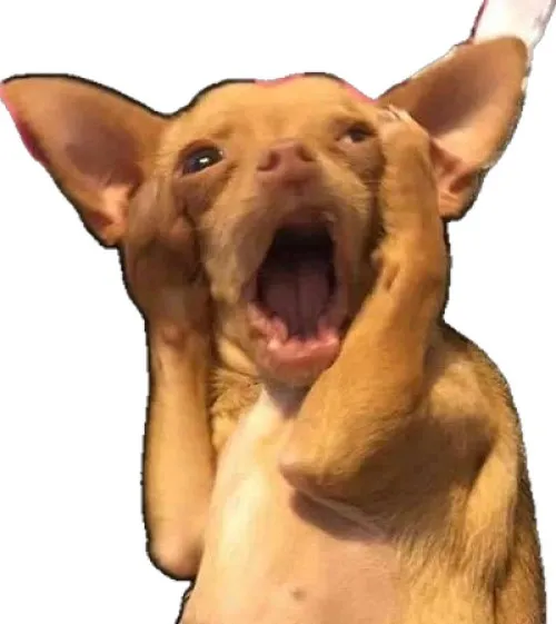 Ảnh chế thánh meme gương mặt ngơ ngác giữa tình huống vô lý