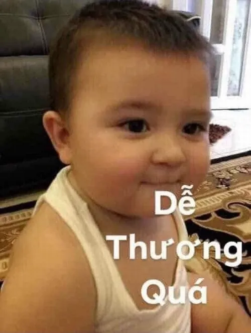 Hình troll khen bạn gái đẹp hiền lành