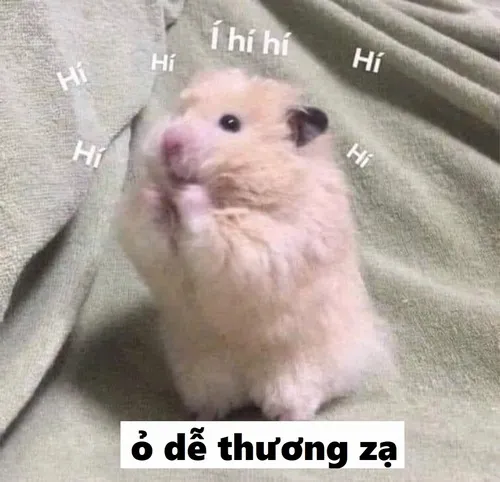 Hình chế meme vui lan tỏa năng lượng tích cực.