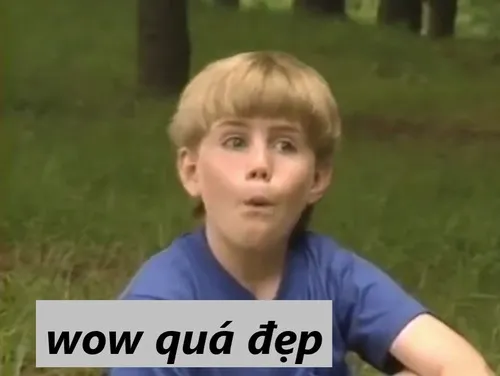 Top meme khen xinh, khen đỉnh, khen “auto like”