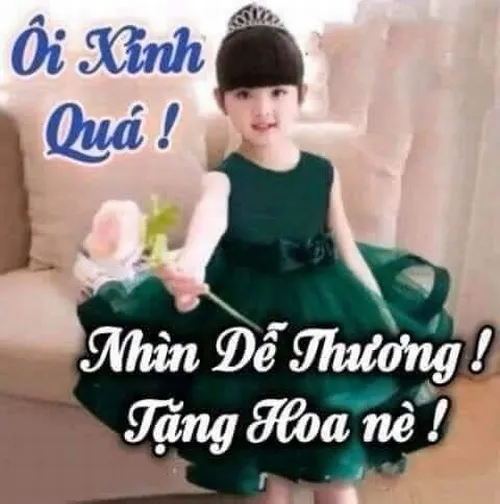 Meme chế pha trộn giữa khen và troll khiến ai cũng thích.