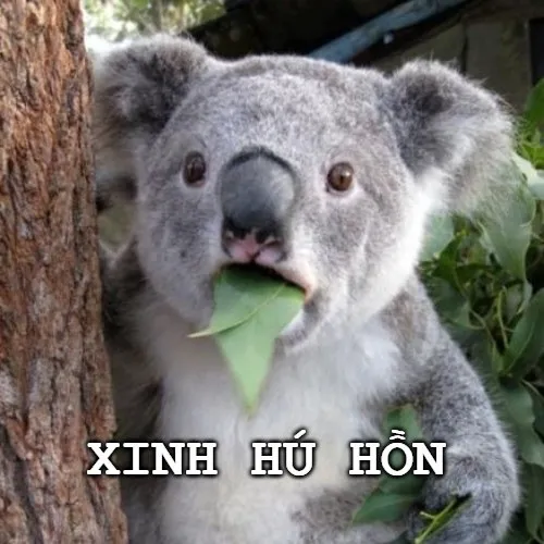 Hình chế meme vui dùng để khen tài nấu ăn ngon mê ly.