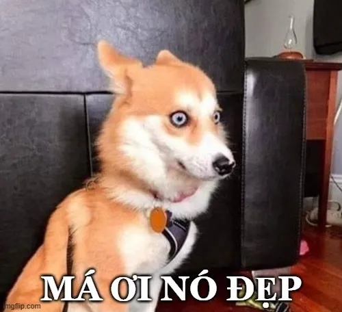 Hình troll pha khen ngược tạo tiếng cười thú vị.