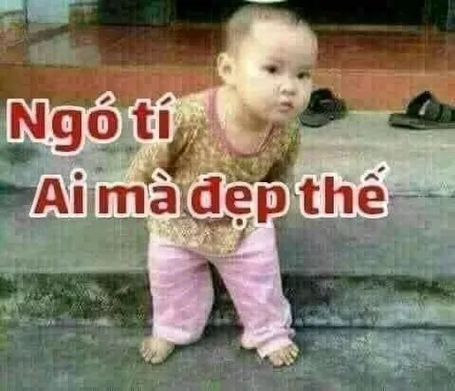 Hình meme vui dùng khi muốn khen ai đó giỏi giang.