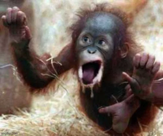 Ảnh troll khỉ đen lè lưỡi siêu nhây vui nhộn