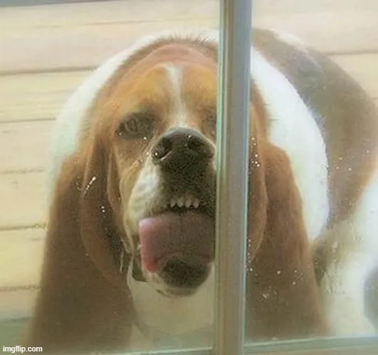 Ảnh vui ánh mắt sáng long lanh khiến ai cũng mlem