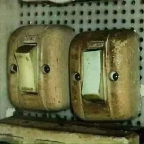 Ảnh vui cái ổ điện lườm sắc sảo không lời