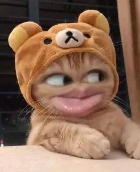 Ảnh vui mèo liếc nhẹ pha lạnh lùng cực “chanh sả”