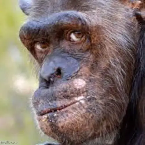 Hình chế meme vui biểu cảm liếc chậm kiểu quyền lực