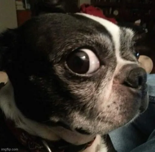 Meme hài liếc nhẹ kiểu quý tộc khiến dân mạng thích thú