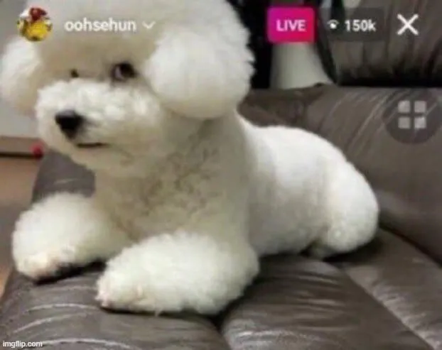 Khi một ánh nhìn chứa cả ngàn suy nghĩ: drama qua đôi mắt