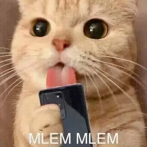 Ảnh meme mèo lè lưỡi liếm điện thoại một cách mlem