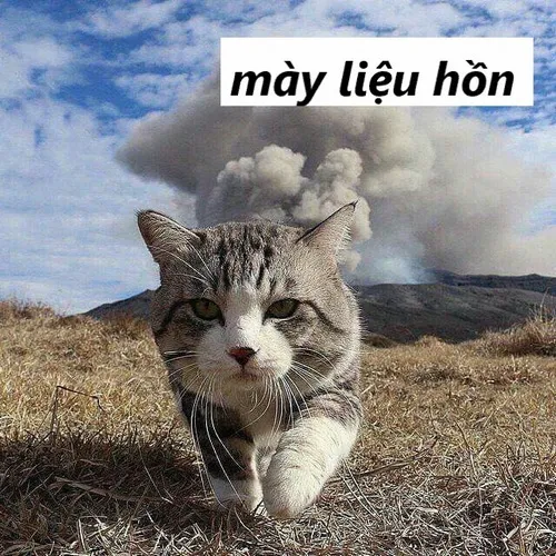 Khi bạn muốn dằn mặt ai đó mà vẫn giữ nét hài hước