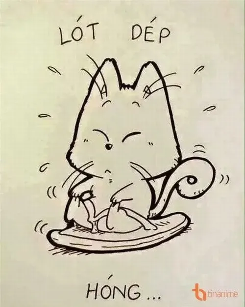 Ảnh meme lót dép hóng hài hước