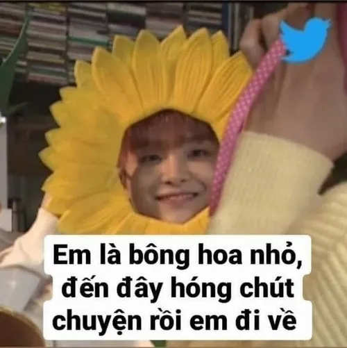 Ảnh vui dép tổ ong cùng trà sữa hóng idol bị bóc phốt