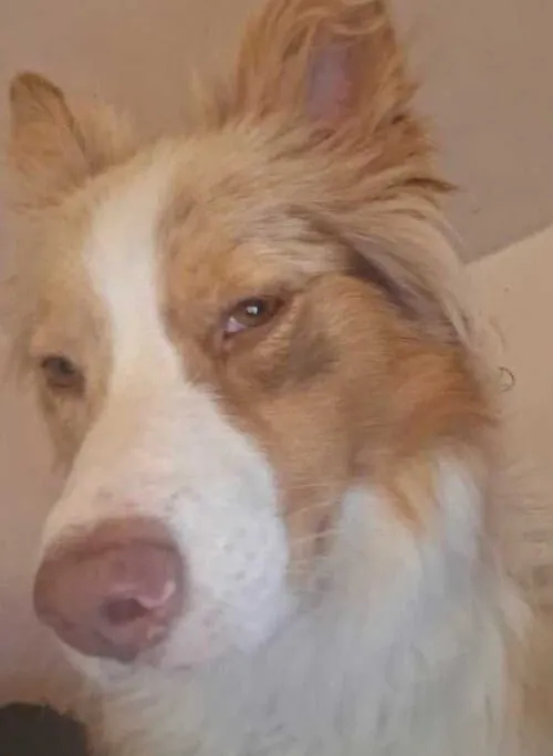 Ảnh vui lườm mắt cực gắt của dân mạng Việt